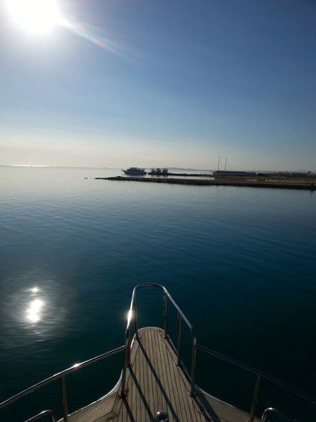 Дмитрий Жуков