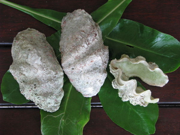 Надежда Рудая