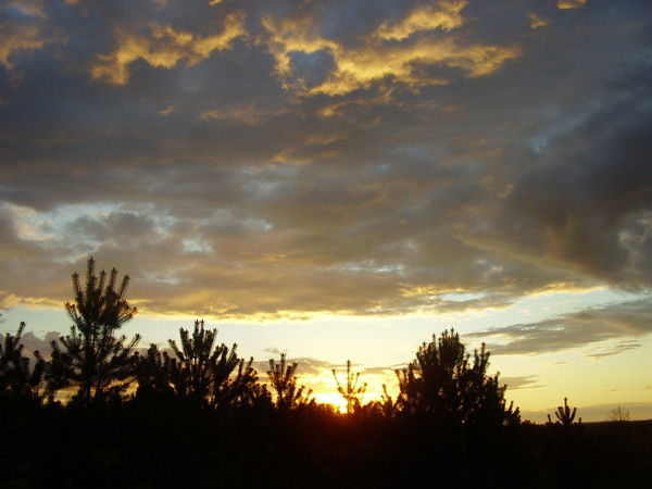 Александр Бочагов