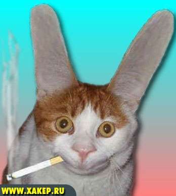 Роман Ерёмин