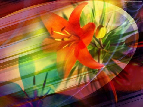 Женка Тологон