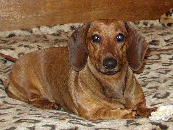 Андрей Смирнов