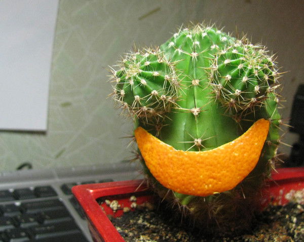 Иван Тропин