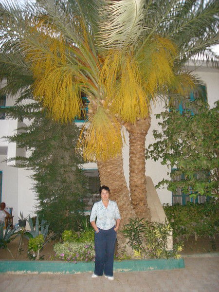 Татьяна Харина