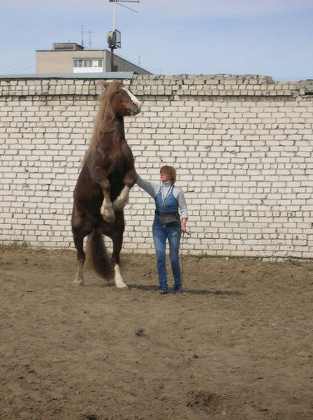 Ненастя Мамонова