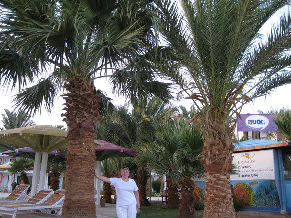 Людмила Сергеева