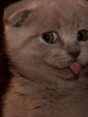 Неизвестно Неизвестно