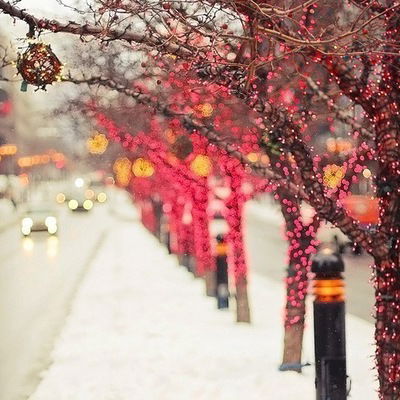 Белла Кокоева