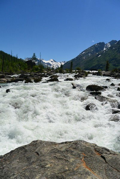 Лилия Витнина