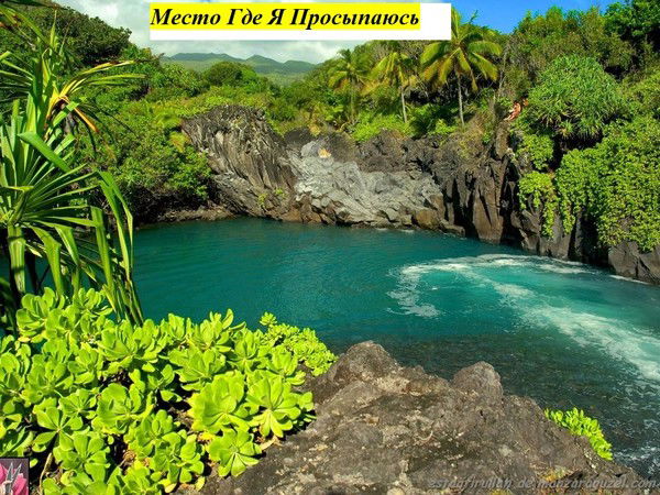 Игорь Майоров