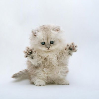 Евгения Короткова