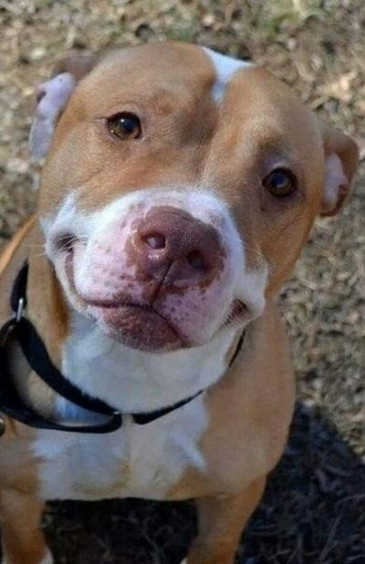 Нурлан Картбалаев