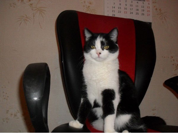 Наталия Морозова