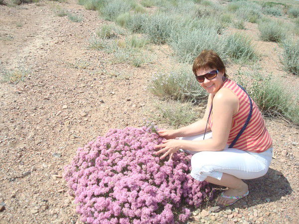 Марина Василевская