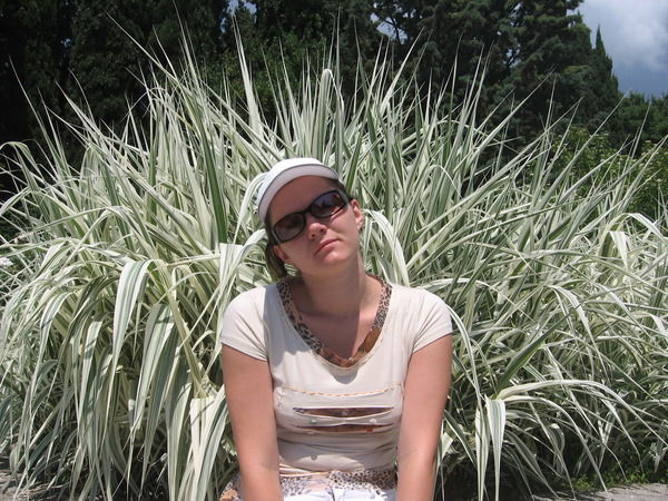 Шевченко Ирина