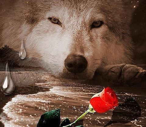 Сергнй Бишеп