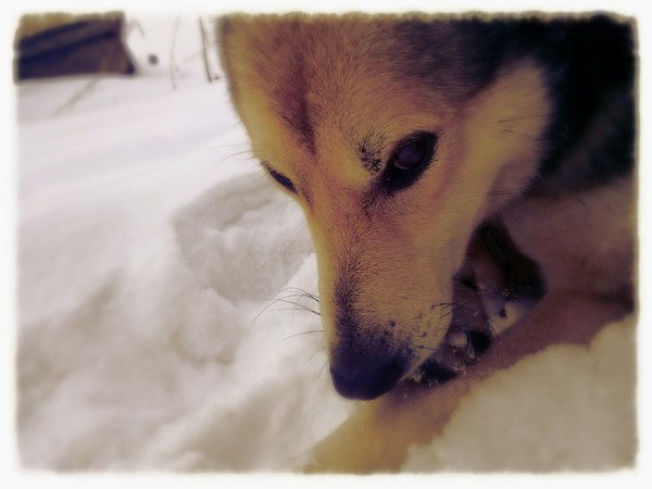 Санек Горячев