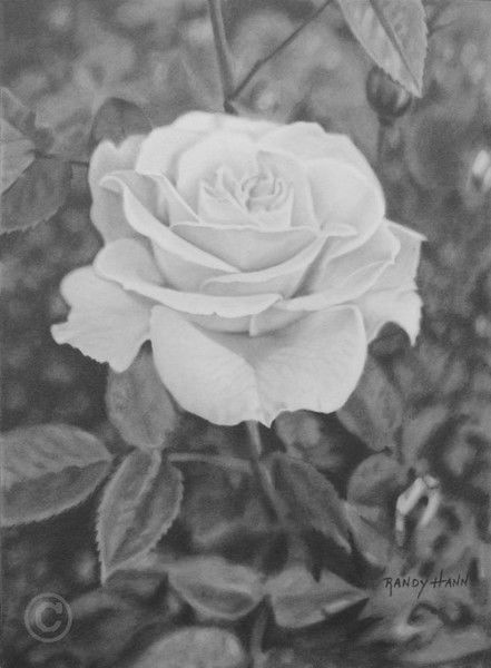 Зоя Качесова