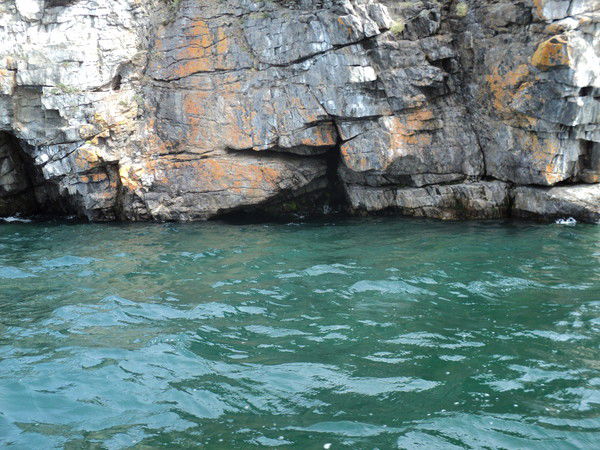 Вячеслав Лапоног