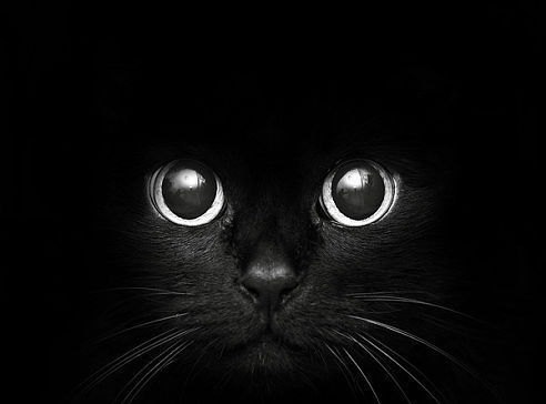 Юлия Мухортова