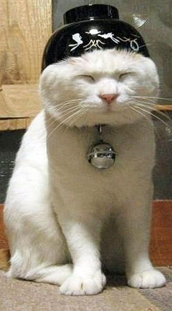 Игорь Шенцев