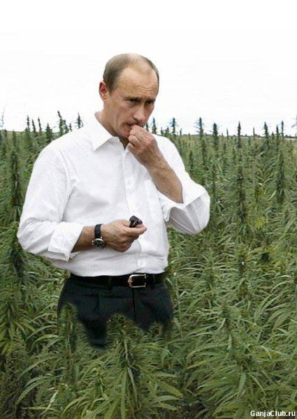 Евгений Бондаренко