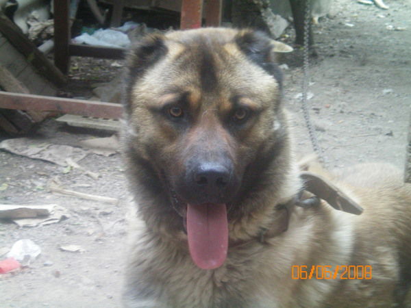 Денис Мельников