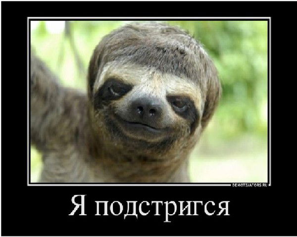 Виталий Луцет