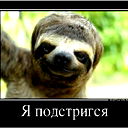 Виталий Луцет