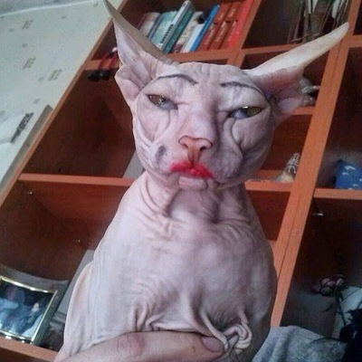 Лилия Мосолова