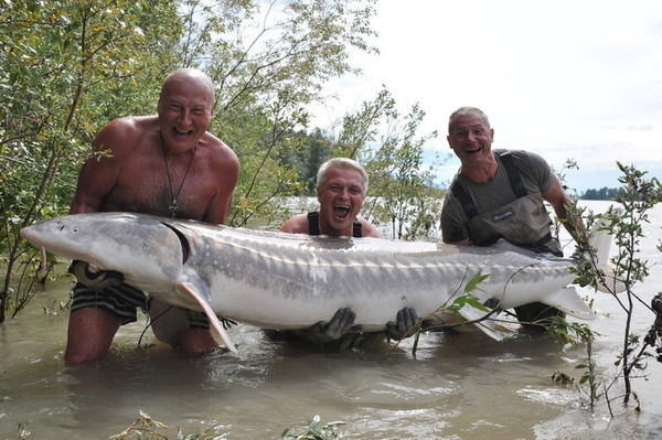 Ольга Пономарева