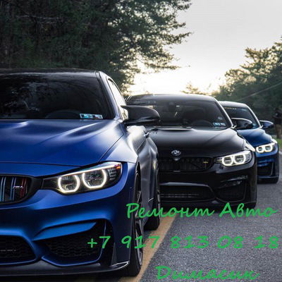 Дмитрий Петрович