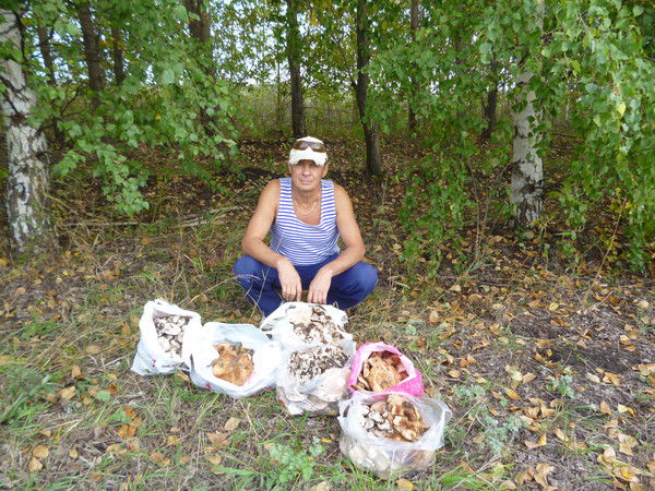 Сергей Кучуркин