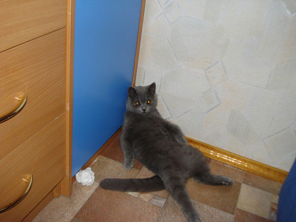 Юрий Ярапов