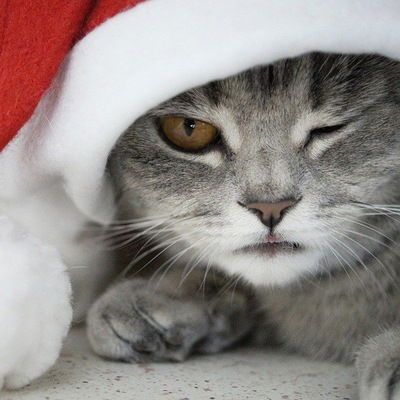 Никита Полторацкий