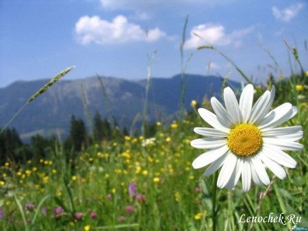 Мадина Евнеева