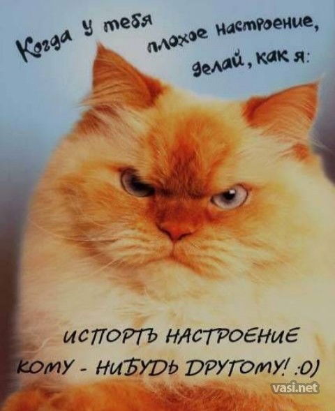 Елена Вавилова