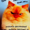 Елена Вавилова