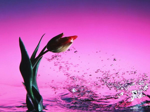 Татьяна Тылдер