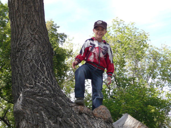 Никита Плохотнеченко