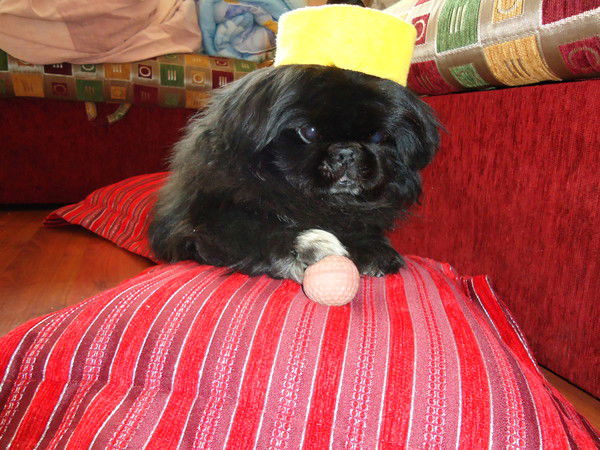 Тома Тамара