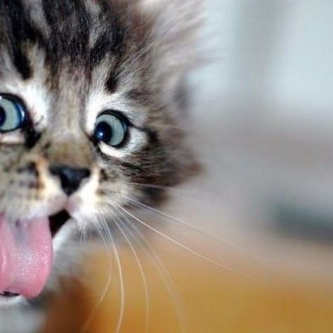 Любаня Люба