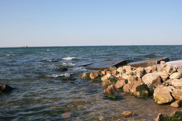 Надежда Алешина