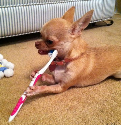 Даниял Фадеев