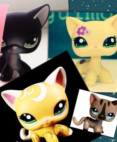 Руби Сиамкова