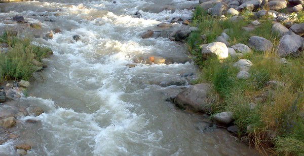 Ольга Воробьева