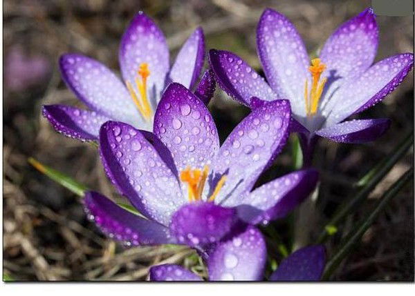 Лилия Даниленко