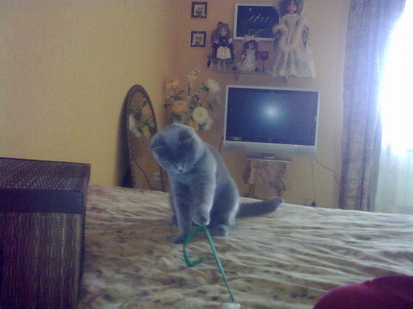 Лариса Бердникова