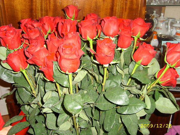 Анара Ахметова