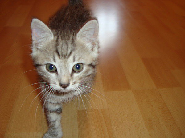 Светлана .....